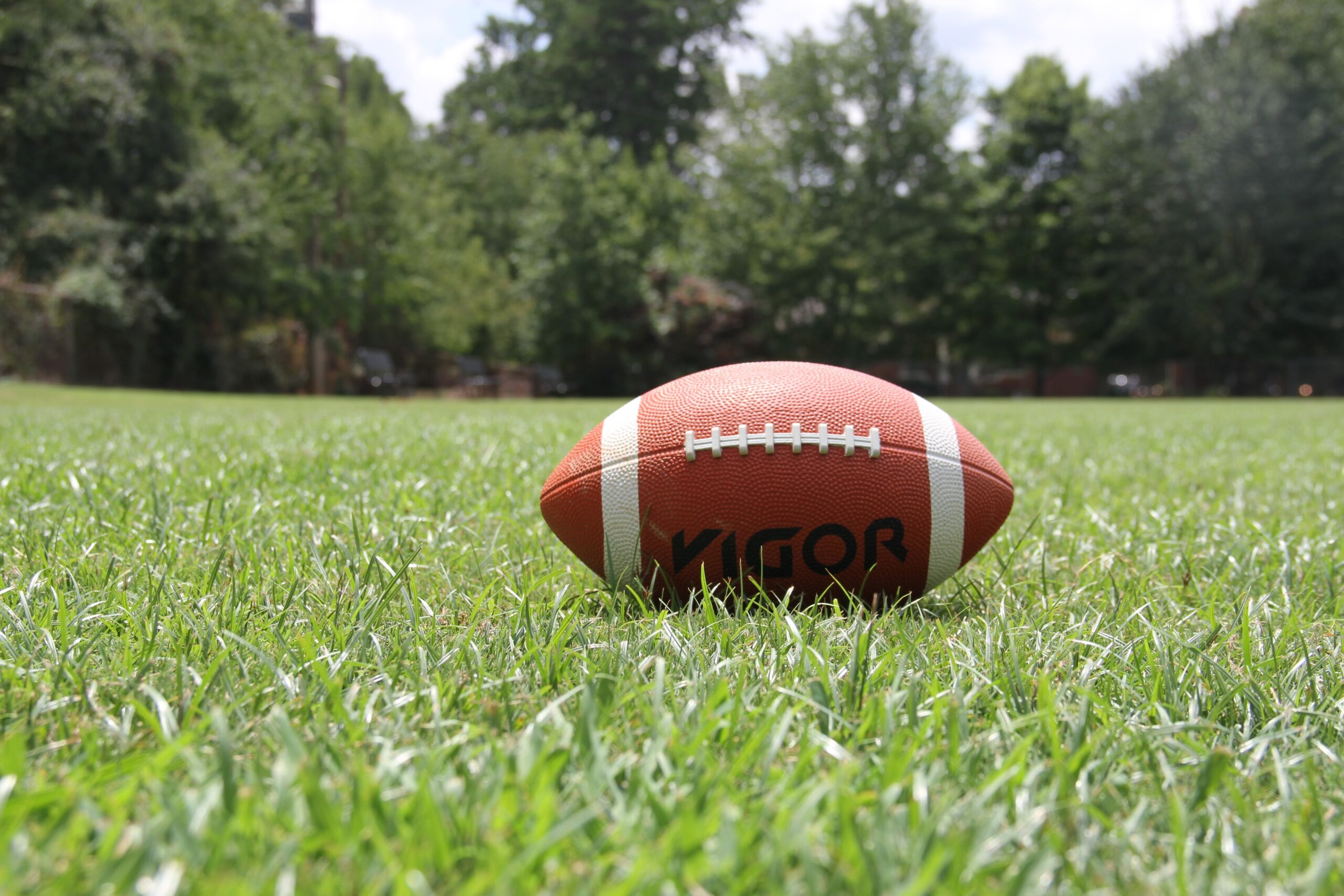 9 Photo Contest Fundraising Ideas for Sports Teams